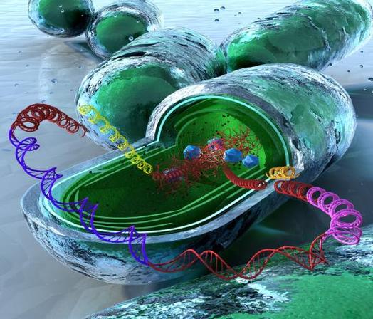 生物制造:合成生物学与定制生物制品